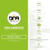 White Alien (GYO) (DNA Genetics) - The Cannabis Seedbank