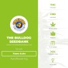Haze Auto (The Bulldog Seedbank) - The Cannabis Seedbank