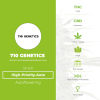 High Priority Auto (710 Genetics) - The Cannabis Seedbank