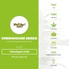 Himalayan Gold (Greenhouse Seed Co.) - The Cannabis Seedbank