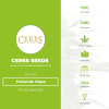 Hollands Hope (Ceres Seeds) - The Cannabis Seedbank