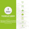 Bubba Cheese AUTO Feminised Humboldt Seeds - Characteristics
