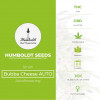 Bubba Cheese AUTO Feminised Humboldt Seeds - Characteristics