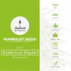 Bubba Kush Regular Seeds Humboldt Seeds - Characteristics