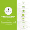Chocolate Mint OG Feminised Humboldt Seeds - Characteristics