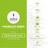 Dedoverde Haze Feminised Humboldt Seeds - Characteristics
