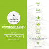 Desert Diesel Feminised Humboldt Seeds - Characteristics