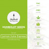 Lemon Juice Express Autoflowering Humboldt Seeds - Characteristics