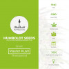 Master Kush Feminised Humboldt Seeds - Characteristics