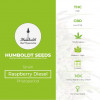 Raspberry Diesel Feminised Humboldt Seeds - Characteristics