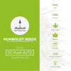 OG Kush AUTO Feminised Humboldt Seeds - Characteristics