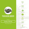 Jacky White - Feminised - Paradise Seeds - Characteristics