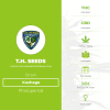Kushage (T.H. Seeds) - The Cannabis Seedbank