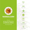 Liberty Haze Feminised Barney's Farm Seeds - Characteristics