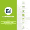 Mangobiche Kush Regular (Cannabiogen) - The Cannabis Seedbank