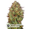 MK Ultra Regular (T.H. Seeds) - The Cannabis Seedbank