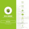 Monster (Eva Seeds) - The Cannabis Seedbank