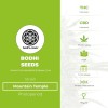 Mountain Temple Regular (Bodhi Seeds) - The Cannabis Seedbank