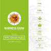 NYC Diesel Auto Feminised Barney's Farm Seeds - Characteristics