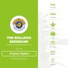 Original Afghan Regular (The Bulldog Seedbank) - The Cannabis Seedbank