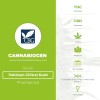 Pakistan Chitral Kush (Cannabiogen) - The Cannabis Seedbank