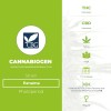 Panama Regular (Cannabiogen) - The Cannabis Seedbank