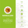 Phatt Fruity Feminised Barney's Farm Seeds - Characteristics