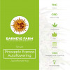 Pineapple Express Auto Barney's Farm Seeds - Characteristics