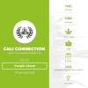 Purple Chem (Cali Connection) - The Cannabis Seedbank
