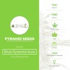 Blue Pyramid Auto (Pyramid Seeds) - The Cannabis Seedbank