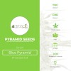 Blue Pyramid (Pyramid Seeds) - The Cannabis Seedbank