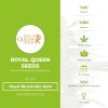 Royal Bluematic Auto (Royal Queen Seeds) - The Cannabis Seedbank