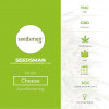 Cheese Feminised Seedsman - Characteristics