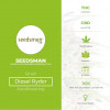 Diesel Ryder Autoflowering Feminised Seedsman - Characteristics