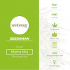 Mama Mia Feminised Seedsman - Characteristics