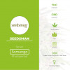 Somango Feminised Seedsman - Characteristics