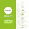 Sugar Haze Regular (Seedsman) - Characteristics