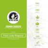 First Lady Regular - Sensi Seeds - Characteristics