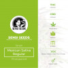 Mexican Sativa Regular - Sensi Seeds - Characteristics