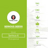 Serious - 6 - Feminised - Serious Seeds - Characteristics