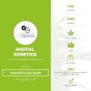 Snowfire Isis Kush Regular (Digital Genetics) - The Cannabis Seedbank