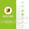 Southern Lights Regular (Delta 9 Labs) - The Cannabis Seedbank