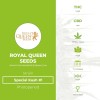 Special Kush #1 (Royal Queen Seeds) - The Cannabis Seedbank