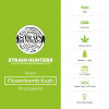 Flowerbomb Kush - Feminised - Strain Hunters - Characteristics