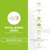 Stress Killer Auto (Royal Queen Seeds) - The Cannabis Seedbank