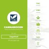 Sugarloaf (Cannabiogen) - The Cannabis Seedbank