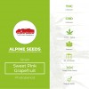 Sweet Pink Grapefruit Regular (Alpine Seeds) - The Cannabis Seedbank