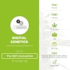 The Wifi Connection Regular (Digital Genetics) - The Cannabis Seedbank