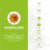 Utopia Haze Feminised Barney's Farm Seeds - Characteristics
