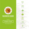 Utopia Haze Feminised Barney's Farm Seeds - Characteristics